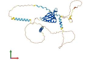 AlphaFold protein structure predicition of Mouse Recombinant Evl Protein, UniprotID P70429