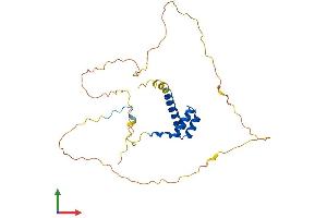 AlphaFold protein structure predicition of Human Recombinant HOXB5 Protein, UniprotID P09067
