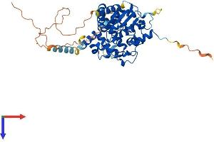 AlphaFold protein structure predicition of Human Recombinant GAL3ST4 Protein, UniprotID Q96RP7