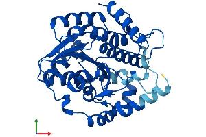 AlphaFold protein structure predicition of Human Recombinant DHRS12 Protein, UniprotID A0PJE2