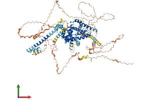 AlphaFold protein structure predicition of Human Recombinant TBC1D30 Protein, UniprotID Q9Y2I9