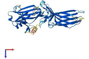 AlphaFold protein structure predicition of Human Recombinant ARR3 Protein, UniprotID P36575