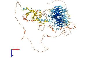 AlphaFold protein structure predicition of Mouse Recombinant Taf1c Protein, UniprotID Q6PDZ2