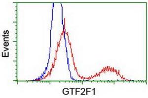 Flow Cytometry (FACS) image for anti-General Transcription Factor IIF, Polypeptide 1, 74kDa (GTF2F1) antibody (ABIN1500596)
