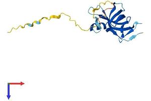 AlphaFold protein structure predicition of Human Recombinant CSDC2 Protein, UniprotID Q9Y534
