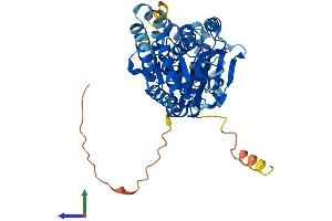 AlphaFold protein structure predicition of Mouse Recombinant Piga Protein, UniprotID Q64323