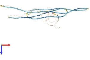 AlphaFold protein structure predicition of Human Recombinant GOLGA3 Protein, UniprotID Q08378