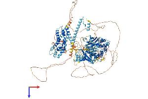 AlphaFold protein structure predicition of Human Recombinant BCR Protein, UniprotID P11274