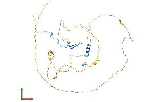 AlphaFold protein structure predicition of Mouse Recombinant Cdc42ep4 Protein, UniprotID Q9JM96
