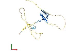 AlphaFold protein structure predicition of Human Recombinant BSX Protein, UniprotID Q3C1V8
