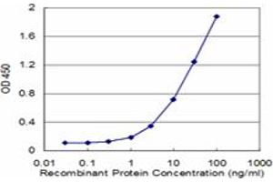 Detection limit for recombinant GST tagged FAAH is approximately 1ng/ml as a capture antibody. (FAAH anticorps  (AA 480-579))