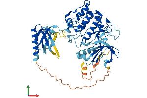 AlphaFold protein structure predicition of Mouse Recombinant Akt2 Protein, UniprotID Q60823