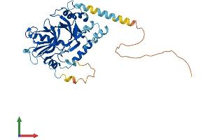 AlphaFold protein structure predicition of Human Recombinant SNUPN Protein, UniprotID O95149