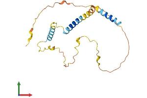 AlphaFold protein structure predicition of Human Recombinant BCL2L11 Protein, UniprotID O43521