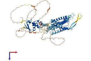 AlphaFold protein structure predicition of Human Recombinant KCNC2 Protein, UniprotID Q96PR1