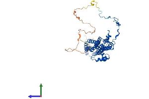 AlphaFold protein structure predicition of Human Recombinant BEST4 Protein, UniprotID Q8NFU0
