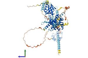 AlphaFold protein structure predicition of Human Recombinant EPS8L1 Protein, UniprotID Q8TE68