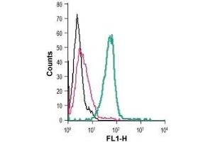 Cell surface detection of GPR34 in live intact mouse BV-2 microglia cells: (black line) Cells. (GPR34 anticorps  (Extracellular) (FITC))