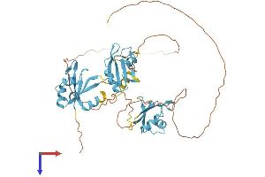 AlphaFold protein structure predicition of Human Recombinant HNRNPH2 Protein, UniprotID P55795
