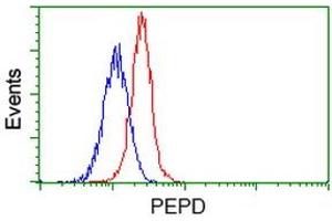Flow cytometric Analysis of Jurkat cells, using anti-PEPD antibody (ABIN2453446), (Red), compared to a nonspecific negative control antibody (TA50011), (Blue). (PEPD anticorps)