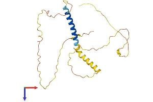 AlphaFold protein structure predicition of Human Recombinant KCNE4 Protein, UniprotID Q8WWG9