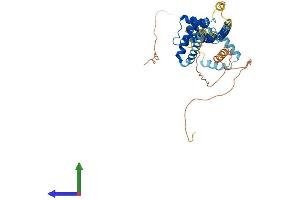 AlphaFold protein structure predicition of Mouse Recombinant Pbx3 Protein, UniprotID O35317