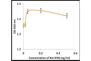 Activity Assay (AcA) image for Interferon gamma (IFNG) (Active) protein (ABIN5509324)