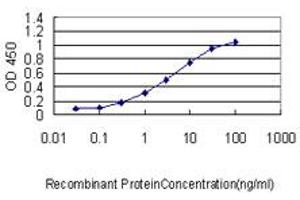 Detection limit for recombinant GST tagged CARF is approximately 0. (CDKN2AIP anticorps  (AA 1-579))