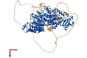 AlphaFold protein structure predicition of Mouse Recombinant Hdac6 Protein, UniprotID Q9Z2V5