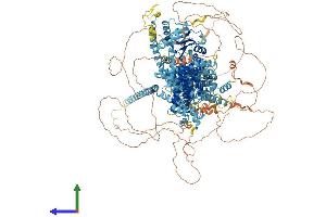 AlphaFold protein structure predicition of Human Recombinant TRPM1 Protein, UniprotID Q7Z4N2