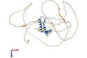 AlphaFold protein structure predicition of Mouse Recombinant Sox4 Protein, UniprotID Q06831