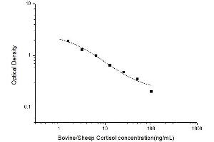 Cortisol ELISA Kit