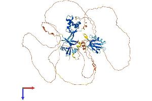 AlphaFold protein structure predicition of Mouse Recombinant Dvl3 Protein, UniprotID Q61062