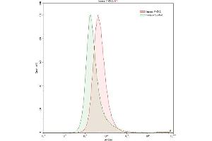 Detection of PKM2 in K562 human chronic myelogenous leukemia cell line using Polyclonal Antibody to Pyruvate kinase isozymes M2 (PKM2)