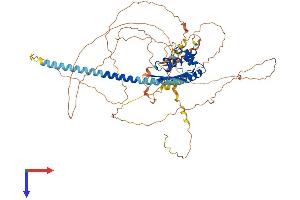 AlphaFold protein structure predicition of Mouse Recombinant Tspyl2 Protein, UniprotID Q7TQI8
