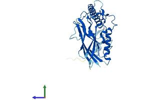 AlphaFold protein structure predicition of Mouse Recombinant Atp1b3 Protein, UniprotID P97370