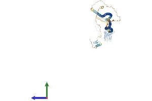 AlphaFold protein structure predicition of Human Recombinant CALCOCO1 Protein, UniprotID Q9P1Z2