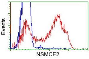 HEK293T cells transfected with either RC207639 overexpress plasmid (Red) or empty vector control plasmid (Blue) were immunostained by anti-NSMCE2 antibody (ABIN2453383), and then analyzed by flow cytometry. (NSMCE2 anticorps)