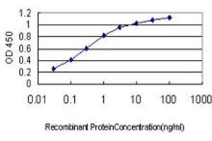 Detection limit for recombinant GST tagged CA1 is approximately 0. (CA1 anticorps  (AA 1-261))