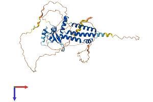 AlphaFold protein structure predicition of Mouse Recombinant Tfap2b Protein, UniprotID Q61313