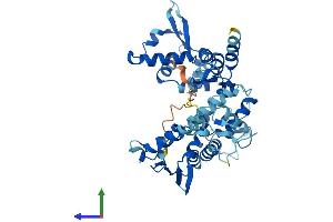 AlphaFold protein structure predicition of Human Recombinant GTF2H4 Protein, UniprotID Q92759