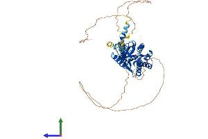 AlphaFold protein structure predicition of Mouse Recombinant Cacnb4 Protein, UniprotID Q8R0S4