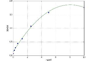 Phospholipase A2, Group VI (Cytosolic, Calcium-Independent) (PLA2G6) ELISA Kit