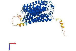 AlphaFold protein structure predicition of Mouse Recombinant Rhag Protein, UniprotID Q9QUT0