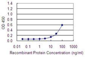 Detection limit for recombinant GST tagged BAMBI is 3 ng/ml as a capture antibody. (BAMBI anticorps  (AA 1-260))