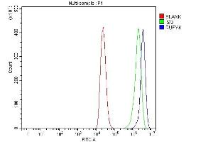 Flow Cytometry analysis of THP-1 cells using anti-RUFY4 antibody (ABIN7599475). (RUFY4 anticorps  (AA 1-553))