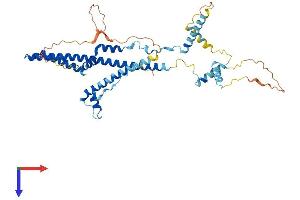 AlphaFold protein structure predicition of Mouse Recombinant Tada3 Protein, UniprotID Q8R0L9