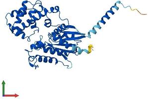 AlphaFold protein structure predicition of Human Recombinant GNA14 Protein, UniprotID O95837