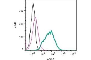 Cell surface detection of CD63 by direct flow cytometry in live intact mouse P815 mastocytoma cell line: + Rabbit IgG Isotype Control-APC (ABIN7582043).