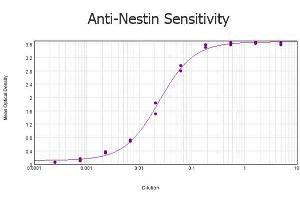 ELISA results of purified Rabbit anti-Nestin Antibody tested against BSA-conjugated peptide of immunizing peptide.